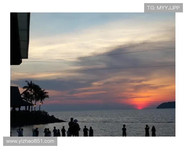 范田沙沙：在那片金黄的海洋里，寻觅生活的诗与远方