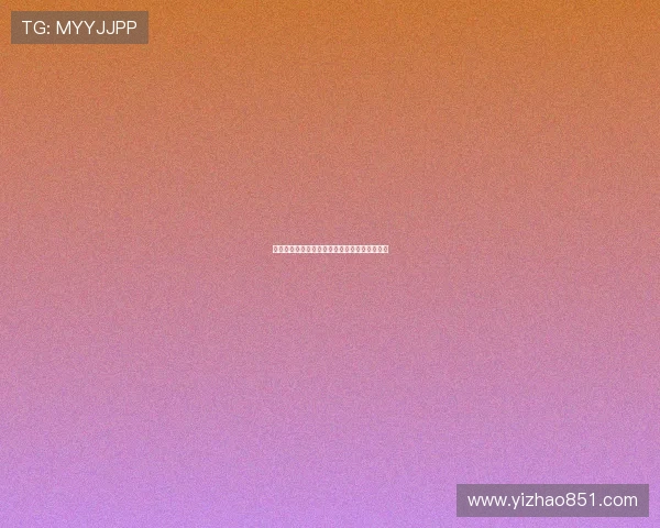 总而言之第二季：一场关于人生选择的深度沉思